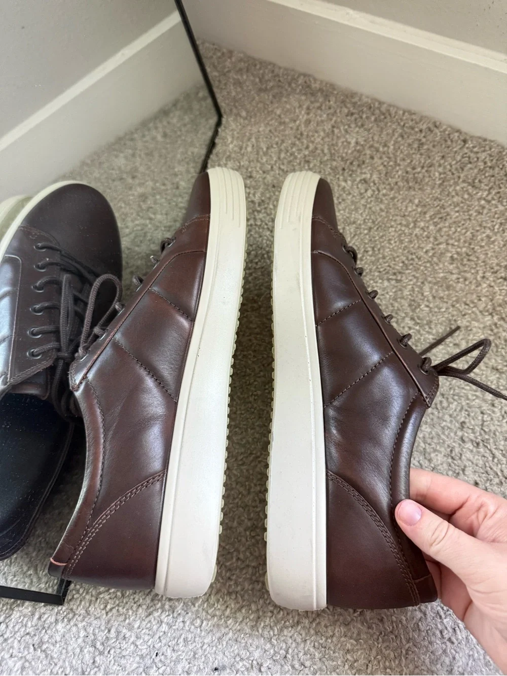 Ecco size 12